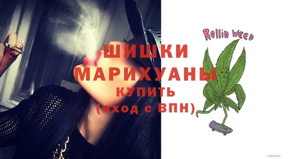 мдпв Липки