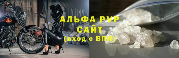 PSILOCYBIN Лихославль