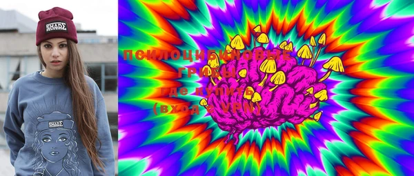 PSILOCYBIN Лихославль