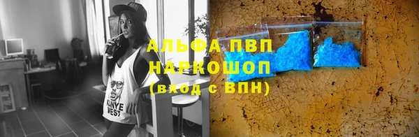 спиды Магас